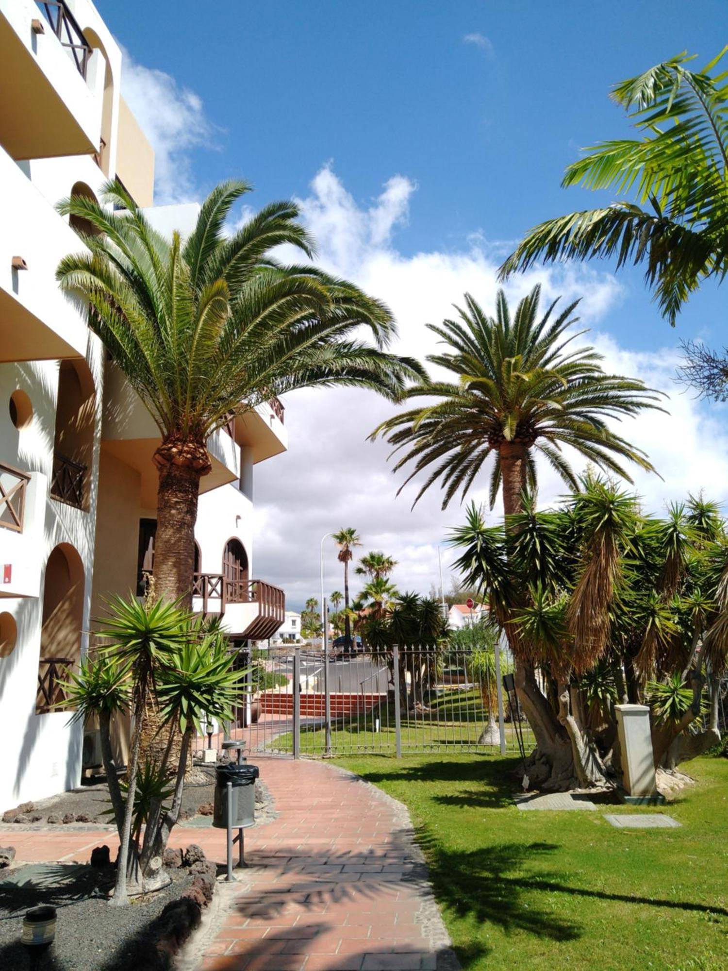 Forest Flat - Big Heated Pool, Terrace, Tv Channels, Golf Courses San Miguel de Abona Exterior foto